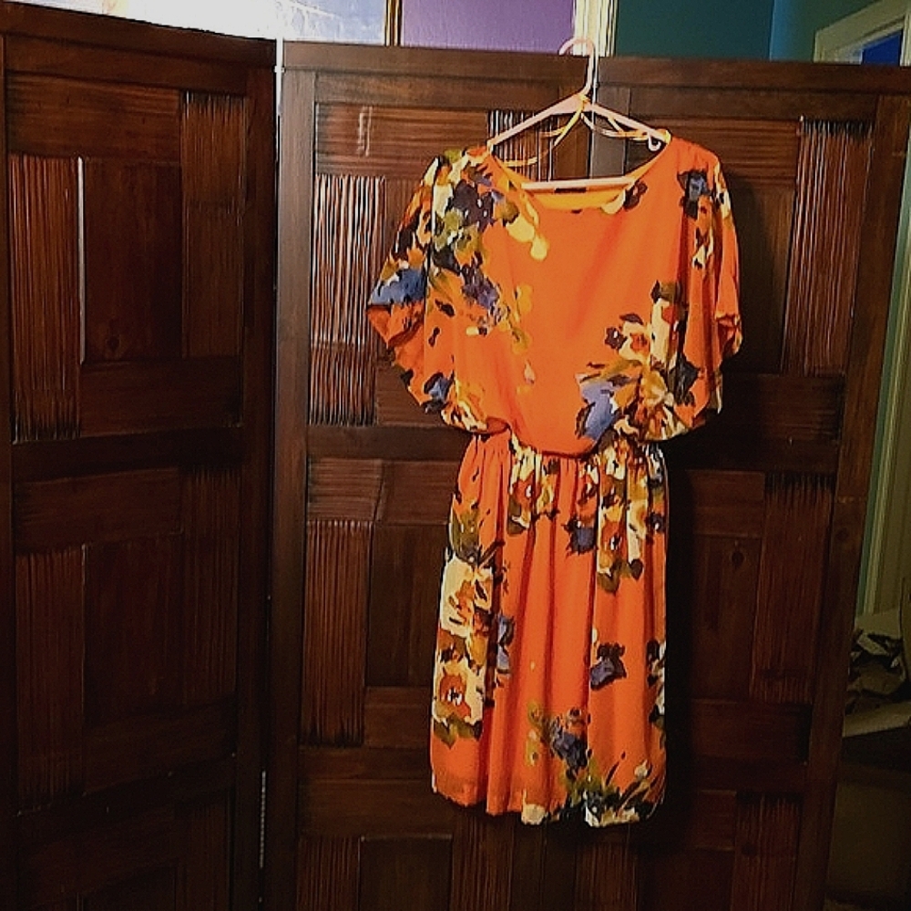 Short Sleeved Lined Dress